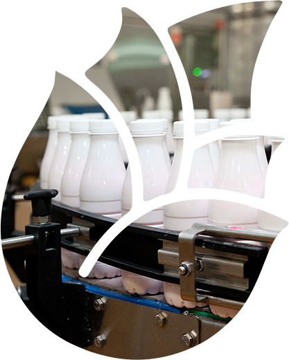 Over a decade of entrepreneurship and innovation Image