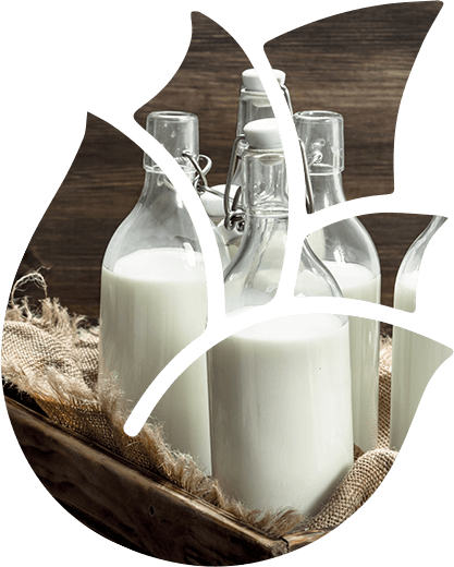 Meeting every dairy need Image